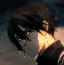Mikasa.gif